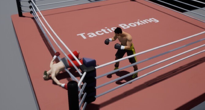 Tactic Boxing crack