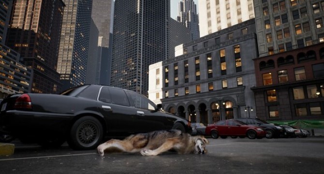 WOLF IN THE CITY download