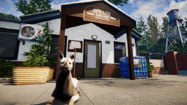 Animal Shelter pc