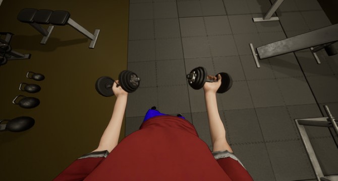 Gym Simulator pc