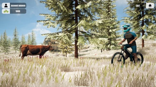 Mountain Bicycle Rider Simulator download