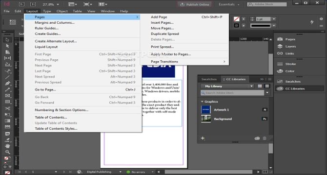 Adobe InDesign 2020