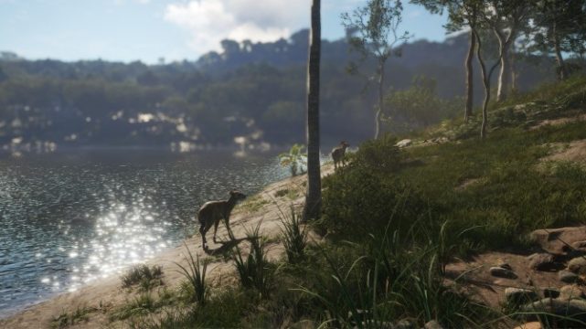 theHunter: Call of the Wild - Emerald Coast Australia pc