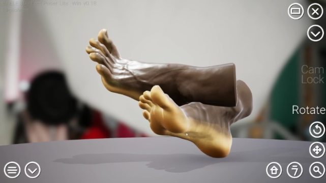 HAELE 3D - Feet Poser Lite download