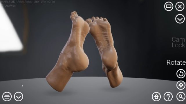 HAELE 3D - Feet Poser Lite pc