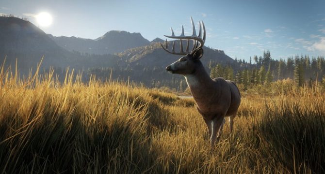 theHunter: Call of the Wild pc