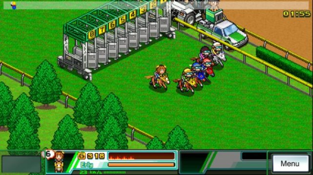 Pocket Stables download