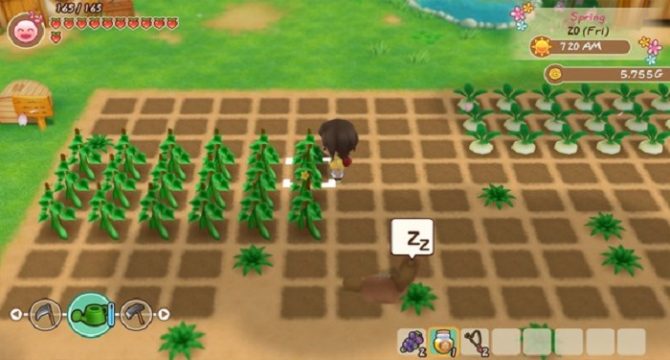 STORY OF SEASONS: Friends of Mineral Town